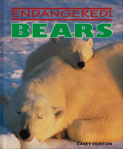 Bears (Endangered!)