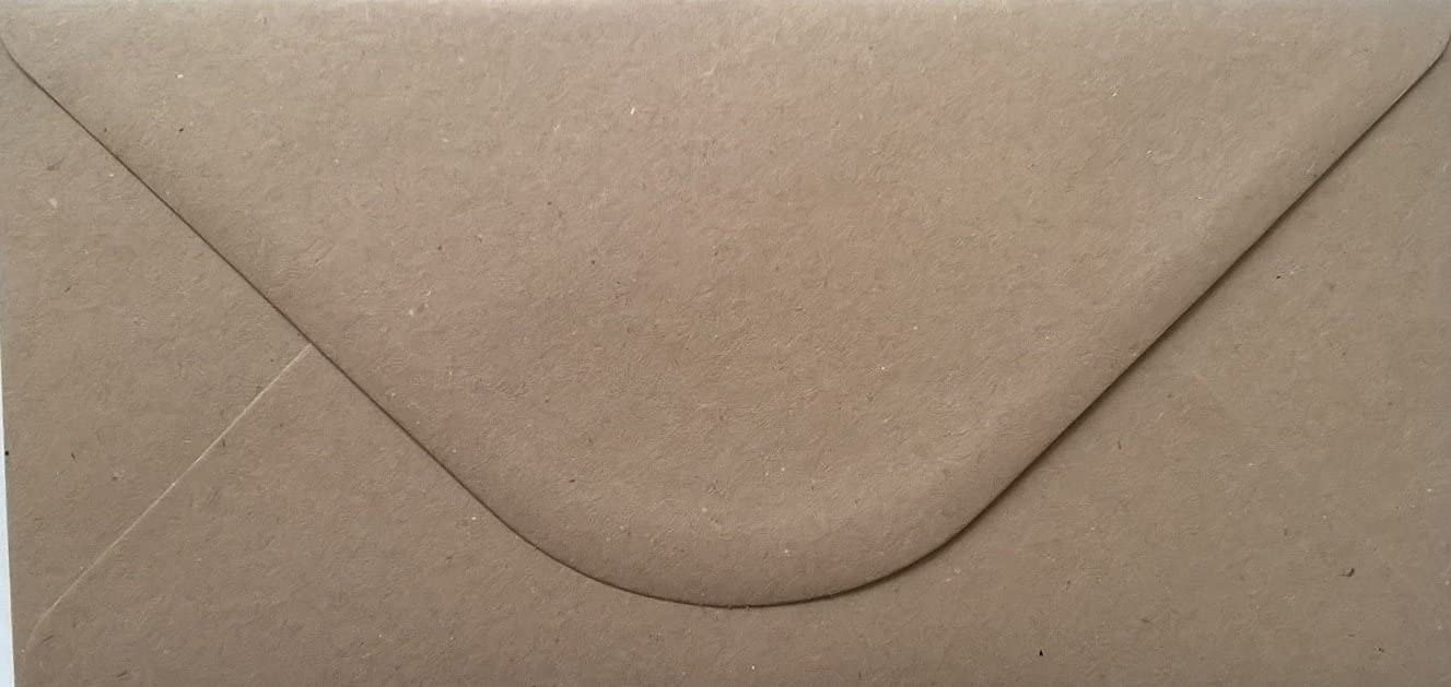 DL (110mm x 220mm) Coloured Envelopes for Greetings Cards Party Invitations & Craft - Pack of 100 (Kraft Brown) — image 1