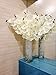 Water Beads Clear- 50000 Vase Filler Gel Beads for Flowers Center Table Decor, Kids Tactile Sensory Toys,Wedding Centerpieces and Home Decoration