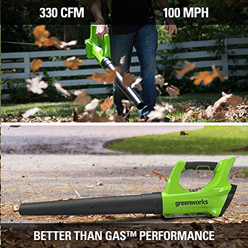 Greenworks 24V Cordless String Trimmer And Blower Combo Pack, 2Ah