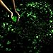 Opps 100 Pcs Glow in the Dark Garden Pebbles for Walkways and Decor in Green