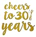 FECEDY Gold Glitter Cheers to 30 Years Banner for 30th Birthday Party