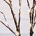 Twinkle Star 100 LED Lighted Brown Willow Branches 2 Pack Artificial Branches Waterproof Battery Operated with Timer for Indoor Outdoor Christmas Wedding Party Home Decoration (Vase Excluded)