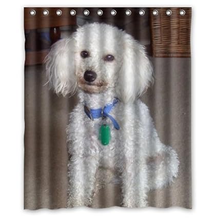 Amazon Com Poodle Lovely Little Puppy Dog White Shower Curtain