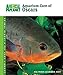 Aquarium Care of Oscars (Animal Planet Pet Care Library) by Neal and Scott, Brian M. Pronek