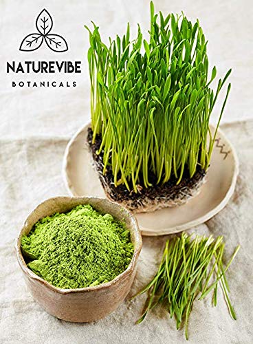Naturevibe Botanicals Organic Wheatgrass Powder (5lbs) (5 Pack of 1lbs Each), Non-GMO & Gluten-Free | Helps Boost Energy Level | Supports Weight Loss. - Thumbnail 7