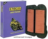 Emgo Replacement Air Filter for Yamaha Maxim Radian Seca 550
