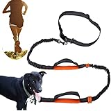 Retractable Hands Free Dog Leash, Dual-Handle Bungee Extendable Shock Absorbing Leash Reflective Stitching Adjustable Waist Belt for For Running, Walking, Hiking, Dog Training Up to 150 lb Large Dogs