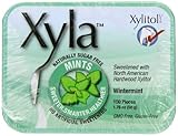 Ricochet Mints with Xylitol, Wintermint, 100-Count Mints (Pack of 6)