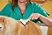 Andis 65735 Flexible Single Row Dog Brush - Removes Unwanted Shedding Hair with 360 Rotating or 13 Long Teeth - Promotes Healthy Skin & Glowing Coat - Ideal for Small to Medium Dogs - White