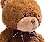 WILDREAM Plush Teddy Bear Stuffed Animals with Ribbon Bow, Shaggy Stuffed First Teddy Bear Plush for Boys/Girls/Boyfriends/Girlfriends, Soft Gifts for Birthday, 8 Inches (Brown)