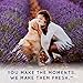 TropiClean SPA For Him Male Dog Cologne Spray Long Lasting | Sporty Scented Dog Deodorizing Spray | Naturally Derived Salon Grade Ingredients | Made in the USA | 8oz
