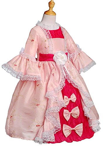 Dressy Daisy Girls' Embroidery Pageant Party Victorian Dress Up Fancy Costume