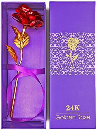 AILOVE 24k Gold Plated Rose Foil Flowers 9.84Inches Handcrafted with Gift Box the Ultimate Creative Thanksgiving Mother's Day Valentine's Day Gift All Festivals (Golden Red Purple Blue) (red)