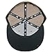 New Era Plain Tonal 59Fifty Fitted Hat (Khaki) Men's Blank Cap