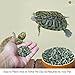 SunGrow Floating Food Sticks for Aquatic Turtles