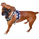 Best Friend Mobility Ultra Reflective LED Dog Harness with or without LED Lighting Front Range Outdoor Pet Vest with Handle 4 Sizes Small to XLarge Black (LED Small)