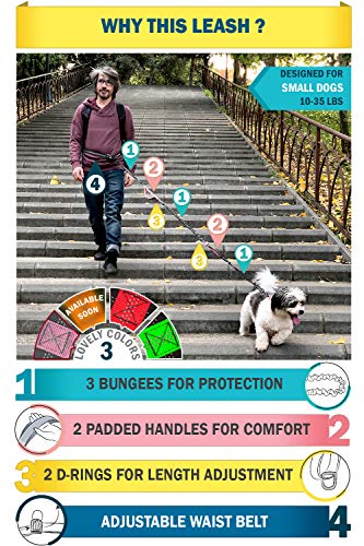 Pet Dreamland Running Dog Leash for Small Dogs - Walking Hiking Training - Extra Long Bungee Dog Lead - Reflective Leashes for Small Dogs (Grey & Pink)