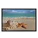 Custom Beach Ocean Theme Sea Life Starfish Seashell Machine-washable Door Mat Indoor/Outdoor Doormat Size 24(L) x 16(W)
