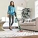 Shark IONFlex DuoClean Cordless Ultra-Light Vacuum, Green (Renewed)