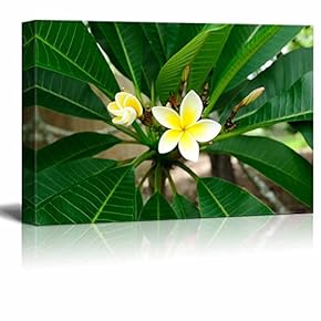 Canvas Prints Wall Art - Blooming Petunia in Tropical Green Setting | Modern Wall Decor/Home Decoration Stretched Gallery Canvas Wrap Giclee Print. Ready to Hang - 12" x 18"