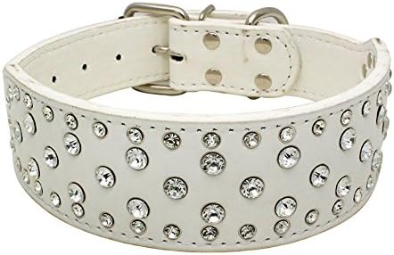 diamond studded dog collar
