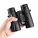 Wingspan Optics ProBirder Ultra HD 8X32 Binoculars for Bird Watching with ED Glass. Wide View, Close Focus, Waterproof. Compact. Experience Brighter, Clearer Images in Ultra HD 8x32 Magnification