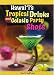 Hawaii's Tropical Drinks and Gelatin Party Shots by 