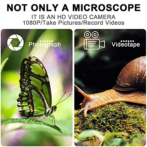 Bysameyee 4K 3840x2160P Wireless Digital Microscope, Handheld HD USB