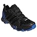 adidas outdoor Terrex AX2R GTX Hiking Shoe - Men's