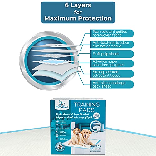 PetCellence Puppy Pads XL with Non Slip Sticky Tapes 24" x 35" Super