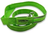 Lucky Day Pets - Pet LED Dog Leash - Waterproof Nylon Webbing with Reflective Strips, 4 Feet Long, Green