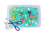 Discovery Box for Sensory Play - Ocean Exploration Theme