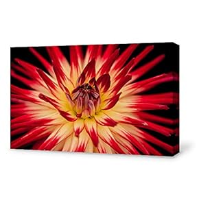 Canvas Wall Art for Living Room,Bedroom Home Artwork Paintings Close-up of Flower Ready to Hang - 12x18 inches