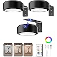 EZVALO Picture Lights for Wall,2000mAh Rechargeable Battery Magnetic Poster Lights with 3 Color Temps&12 RGB,Remote Dimmable Timer Painting Light,Wall Decor Light for Art Display,Frame(3 Pack)
