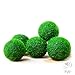 Luffy My First pet Plant Nano Marimo Moss Ball - Fun, Bright and Fluffy - Introduction to Green World - for Educational, DIY Projects - Instigate Natural Learning Habitat