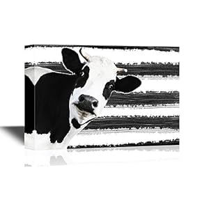 A Cow on Black and White Background