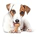 Nylabone Power Chew DuraChew Piggy Dog Chew Toy, Large