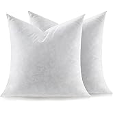 Swandream Feather Throw Pillow Inserts Set of 2, Soft Fluffy Square 24 x 24 Inches Decorative Pillow Insert, Feather and Down Filled Euro Pillows
