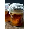 Kombuchaorganic ® Gecertificeerde Organische Potent en GROTE 24hrs Express Verzending UKAS LAB Getest Volwassen en…