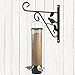 Amagabeli Hanging Plants Bracket 10 inch Outdoor Planter Hooks Hangers Flower Baskets Pot Bird Feeder Hanger for Fence Wall Trees Wind Chimes Lantern Outdoor Indoor Garden Arm 3D Bird Black hook02