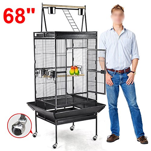 The 10 best bird play stand for cage top 2019 Sideror Reviews