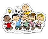 Peanuts Gang snoopy Vynil Car Sticker Decal - Select Size