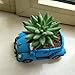 Ascrafter Car Flower Pot Succulent Plant Containers (Blue)