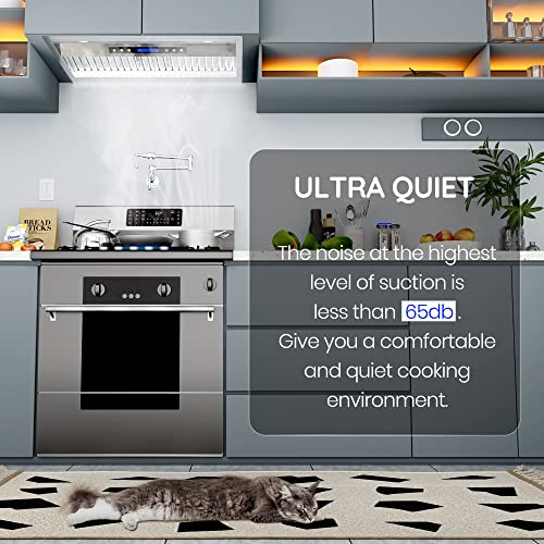 EKON NAB0230" 900CFM Range Hood Insert, Ducted/Ductless Builtin Range