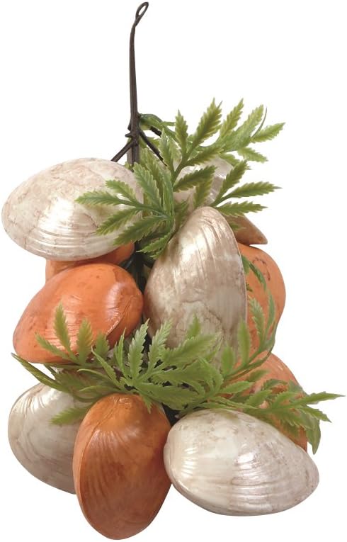 Download Idees de decoration coquillage Free