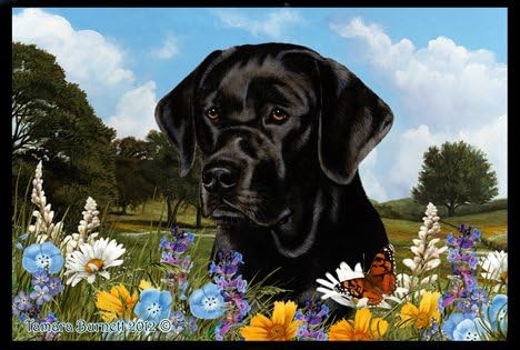 Best Of Breed Black Labrador Summer Flowers Floor Mat