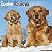 Golden Retriever Calendar 2017 - Dog Breed Calendars - 2016 - 2017 wall calendars - 16 Month by Avonside