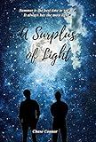 A Surplus of Light: A Gay Coming-of-Age Tale by Chase Connor