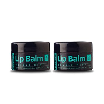 Ustraa Double Mint Lip Balm, 20 g (Pack of 2)